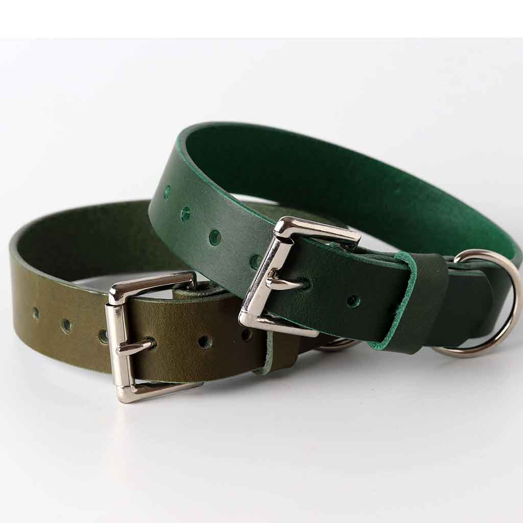 Grünes Lederhalsband für Hunde / Italienisches Leder / von Kaseta