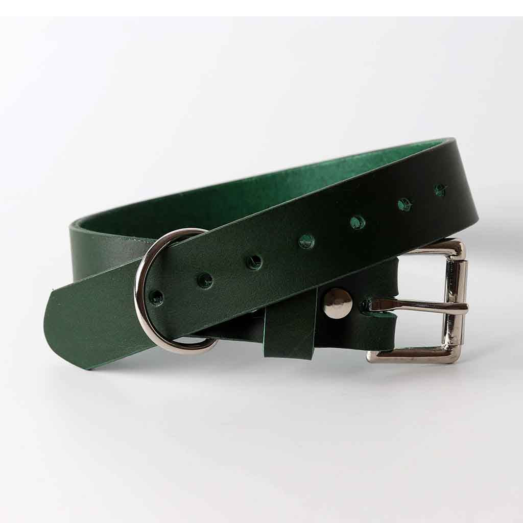 Grünes Lederhalsband für Hunde / Italienisches Leder / von Kaseta