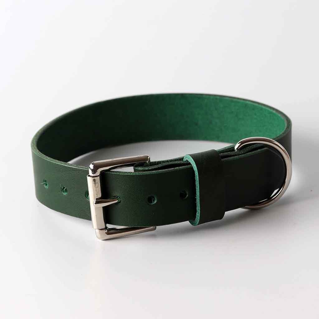 Grünes Lederhalsband für Hunde / Italienisches Leder / von Kaseta